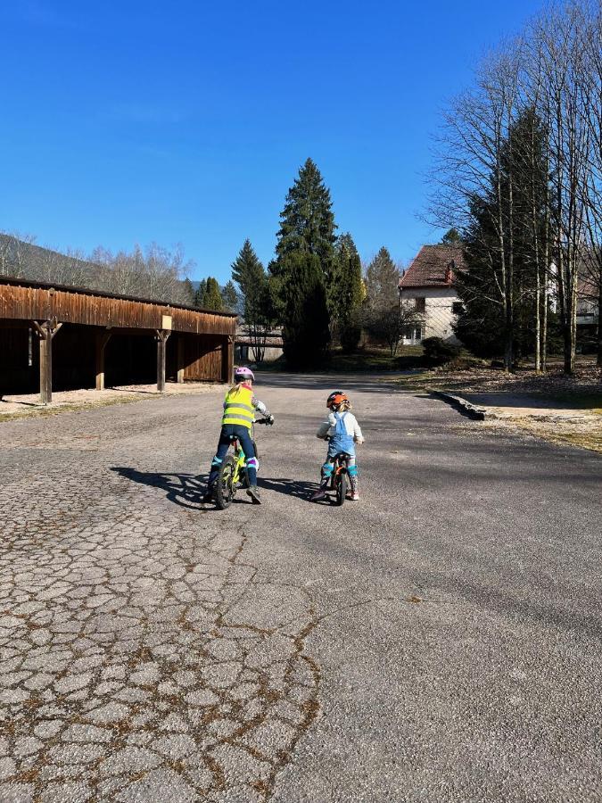 Ferme Des Jonquilles 15P - Billard, Ps4, Salle De Sport Gerardmer Luaran gambar